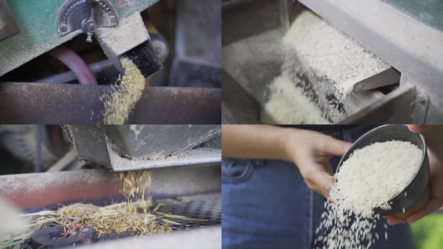 台山大米制作全过程 包含碾米机 烹饪过程