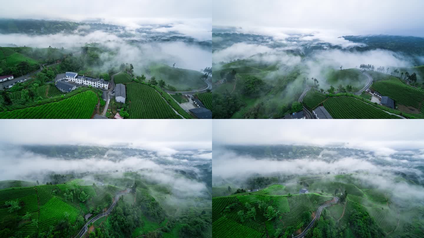 航拍山区云雾袅绕的茶山4K