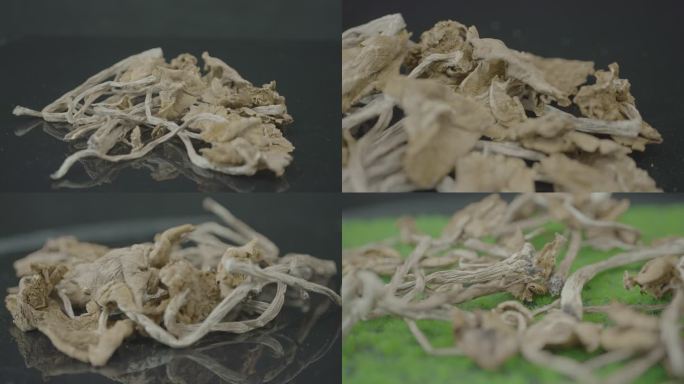 茶树菇蘑菇食用菌灰片