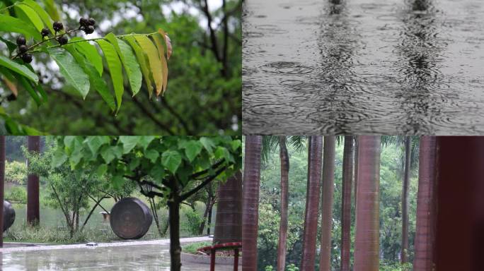 谷雨 雨天 下雨 屋檐下 雨水