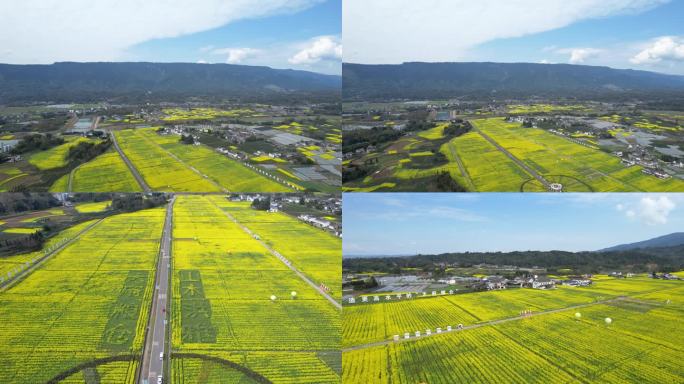 洪雅柳江油菜花乡村风光天府粮仓