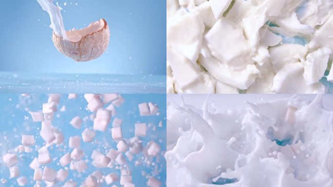 椰子 椰汁 老椰子 椰肉