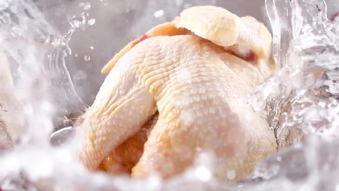 鸡 白切鸡 新鲜鸡