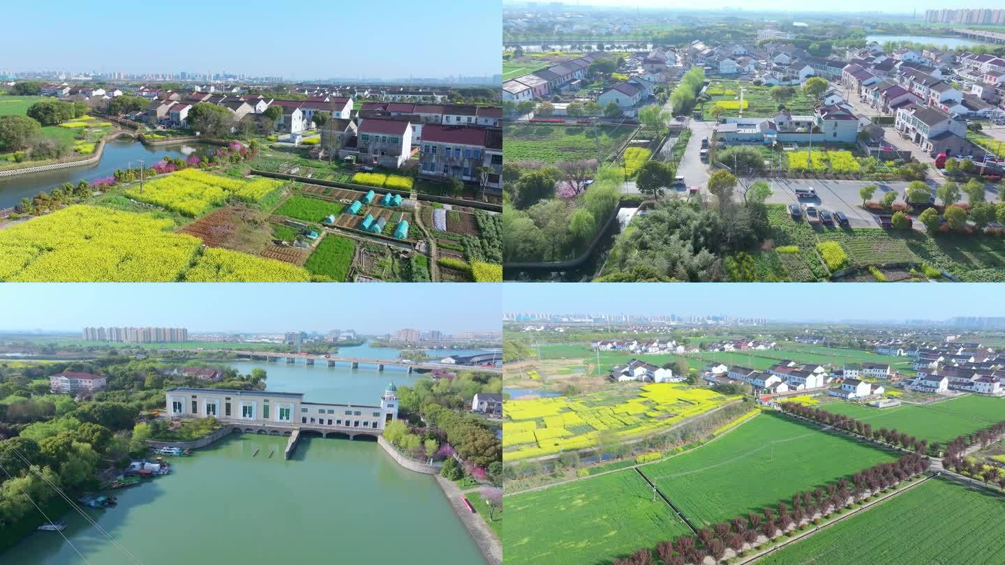 4k视频春天里的苏州相城新农村风景航拍