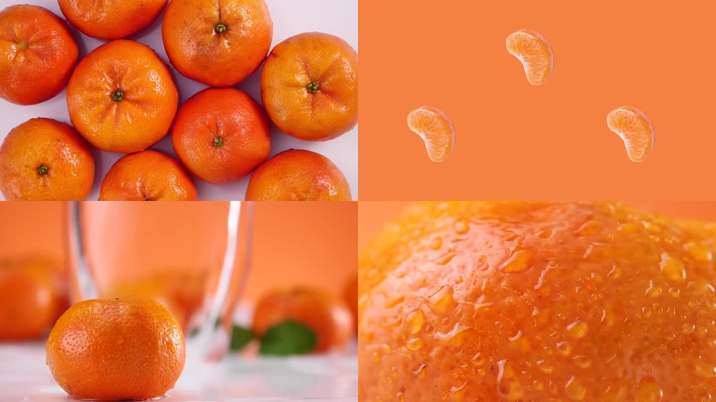 橘子 橙子