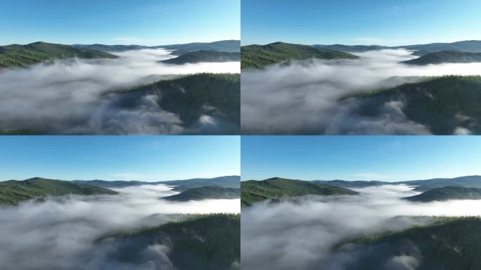 森林山谷云雾