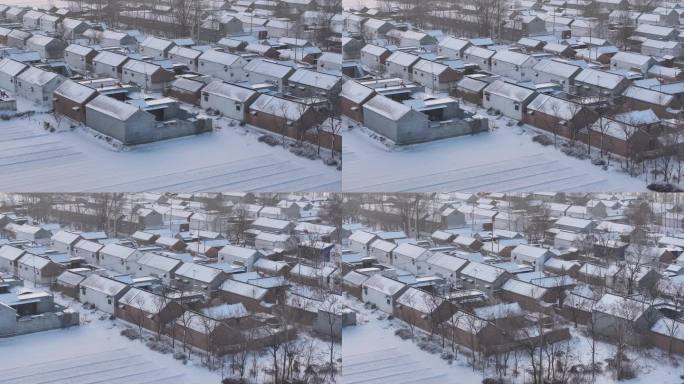 山东菏泽市农村冬日雪景