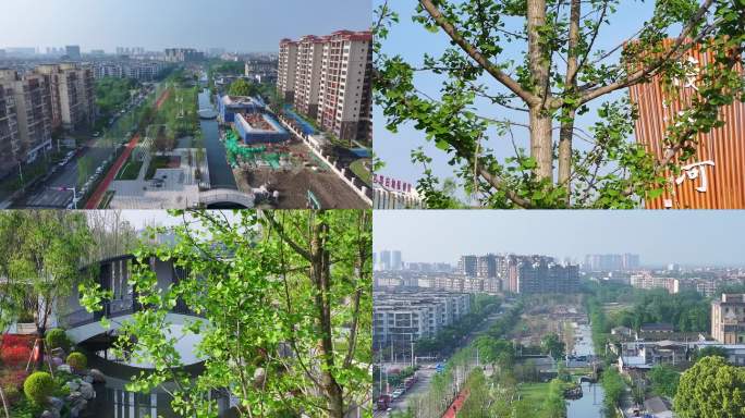 公园城市航拍素材