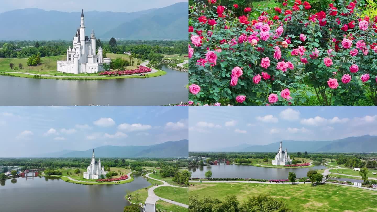 美丽中国—玫瑰花开航拍素材