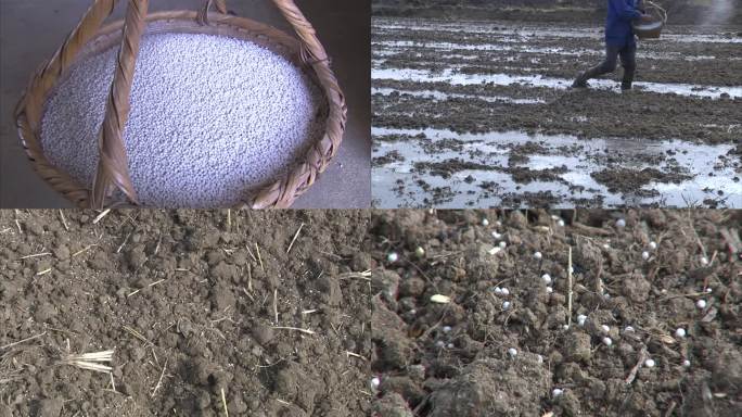 复合肥 翻耕好的农田 撒施化肥 土面肥料