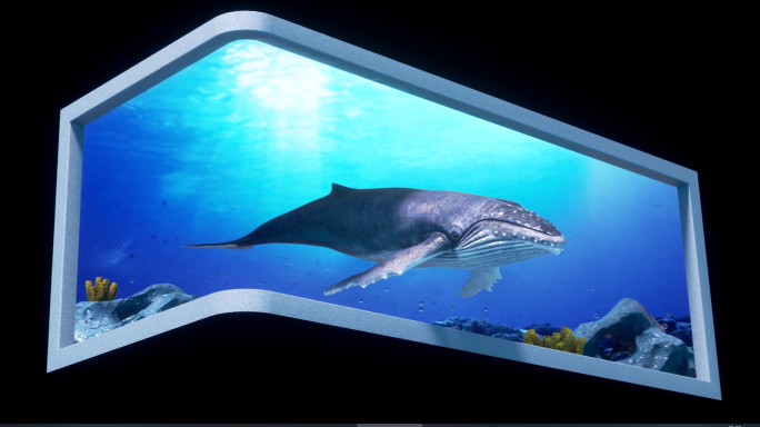 写实海底鲸鱼裸眼3d素材