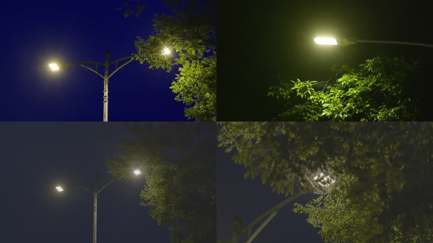 夜晚微风路灯03