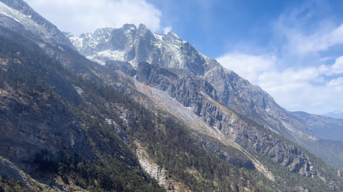 高原雪山森林