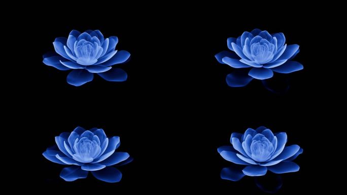 蓝色花开