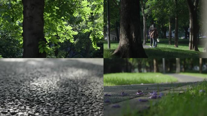 社区公园人居环境阳光树林草地散步休闲视频