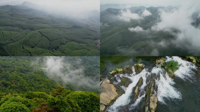 山雾自然原始森林航拍树林生态风光