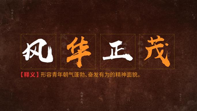 成语解释释义