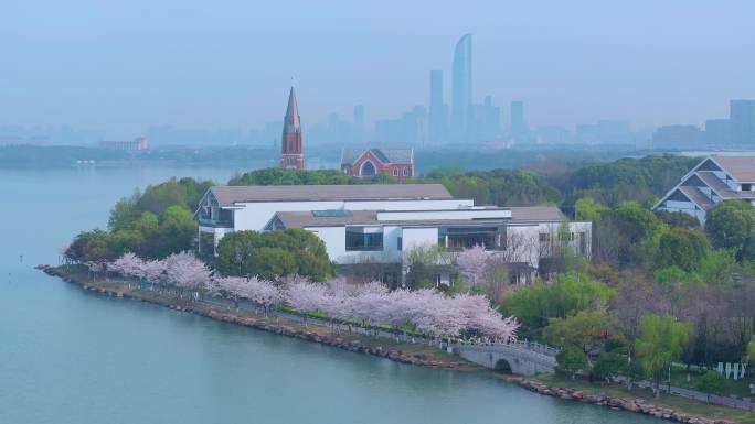 春天苏州园区独墅湖月亮湾春天樱花盛开航拍