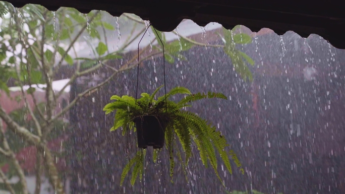 【原创4K】雨天氛围感禅意空镜头合集