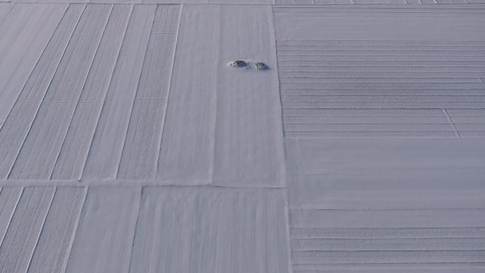 大雪覆盖下的农田呈几何形状