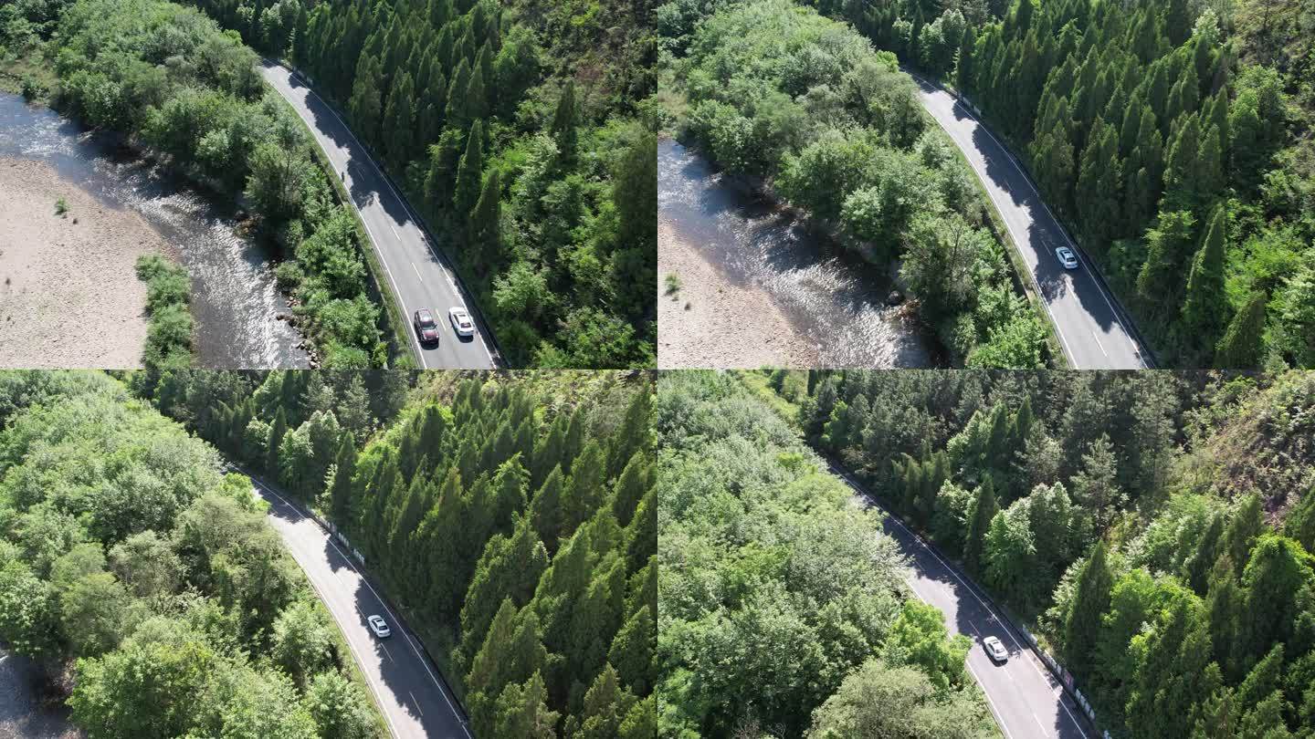 仙居淡竹森林道路开车自驾游森林公路大自然