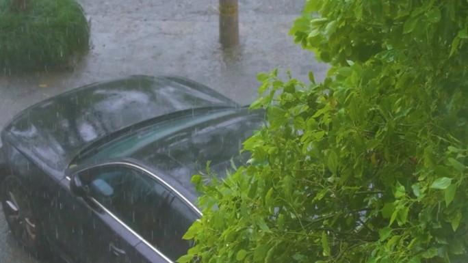 城市下暴雨下雨天雨水雨滴植物树叶子树木雨