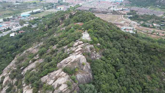 孔望山  山 绿树 湖泊 航拍 孔子雕像