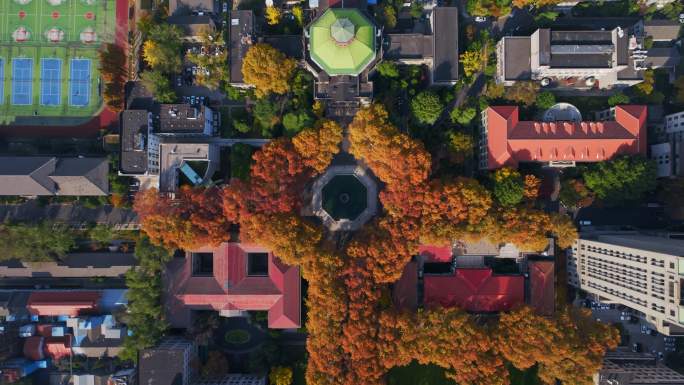 南京东南大学秋景