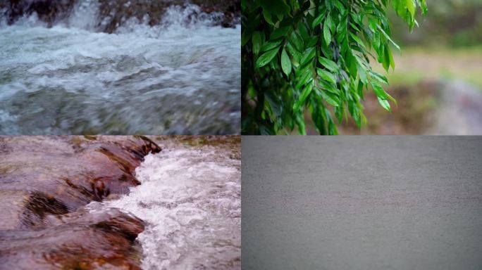 山水 自然 大自然花草 下雨天