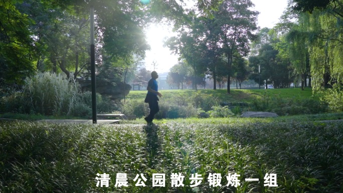 城市社区公园清晨树林阳光散步跑步视频素材