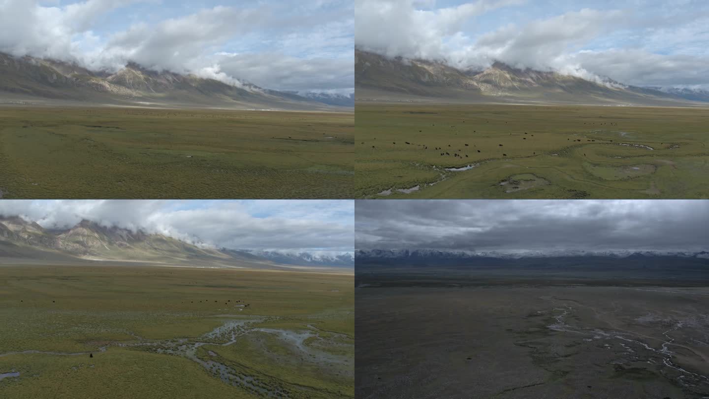航拍宽阔的西藏牧场放牧牛羊草原河流