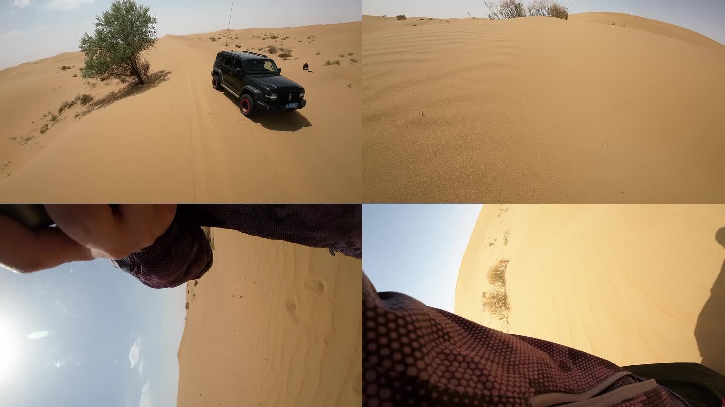 沙漠越野追车