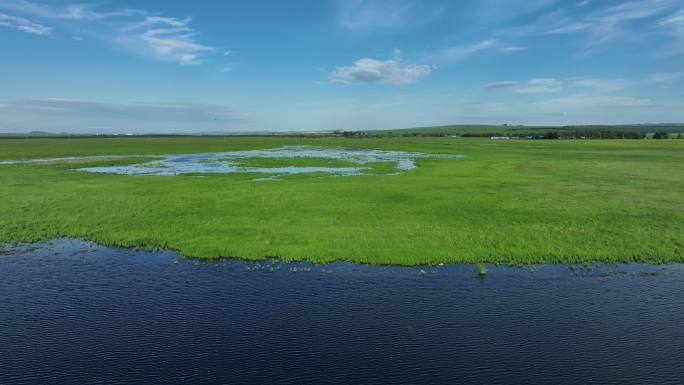 湿地自然风景