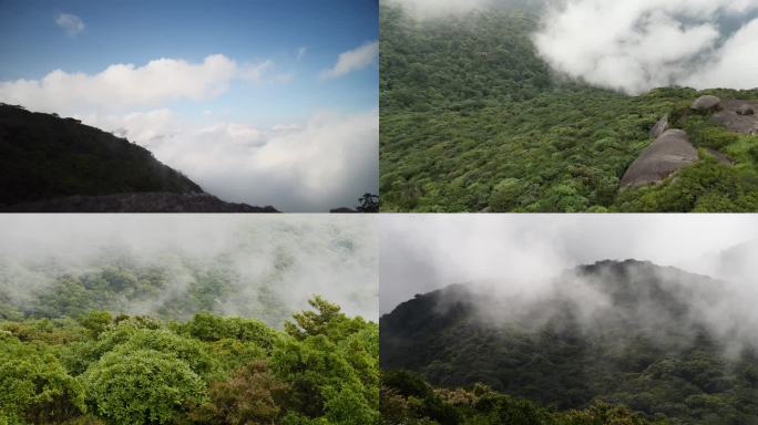 山雾云海自然风景原始森林