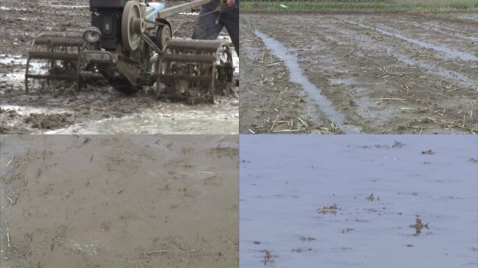 灌水后的麦茬田 手扶拖拉机 旋耕 整地