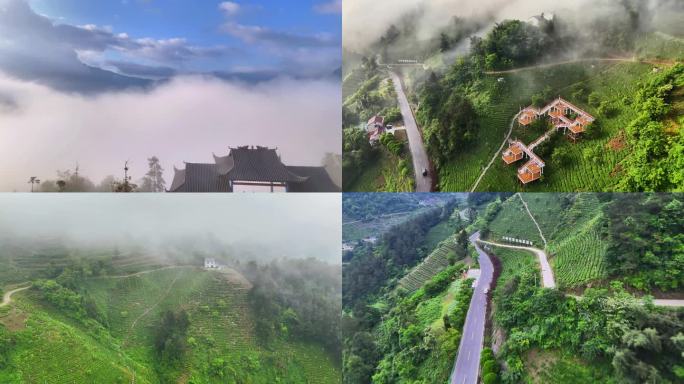 秭归县三峡世家丝绵茶基地