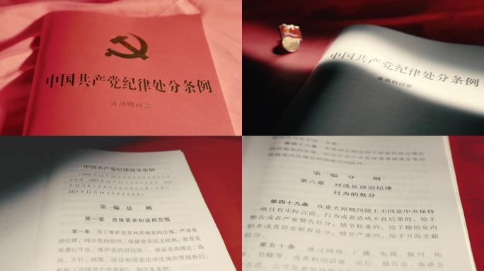 学习中国共产党纪律处分条例