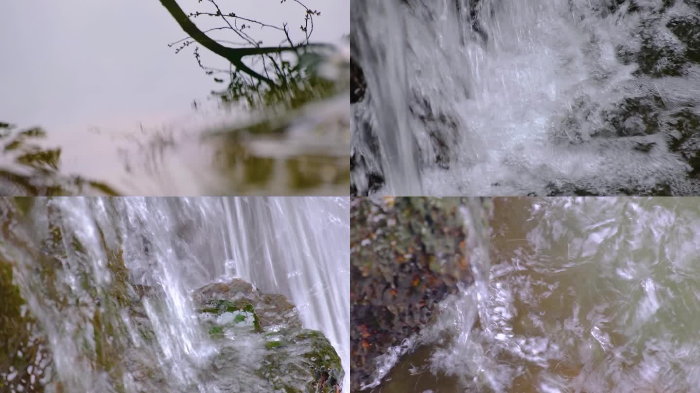 植物园公园小溪流水水中倒影特写风景视频素
