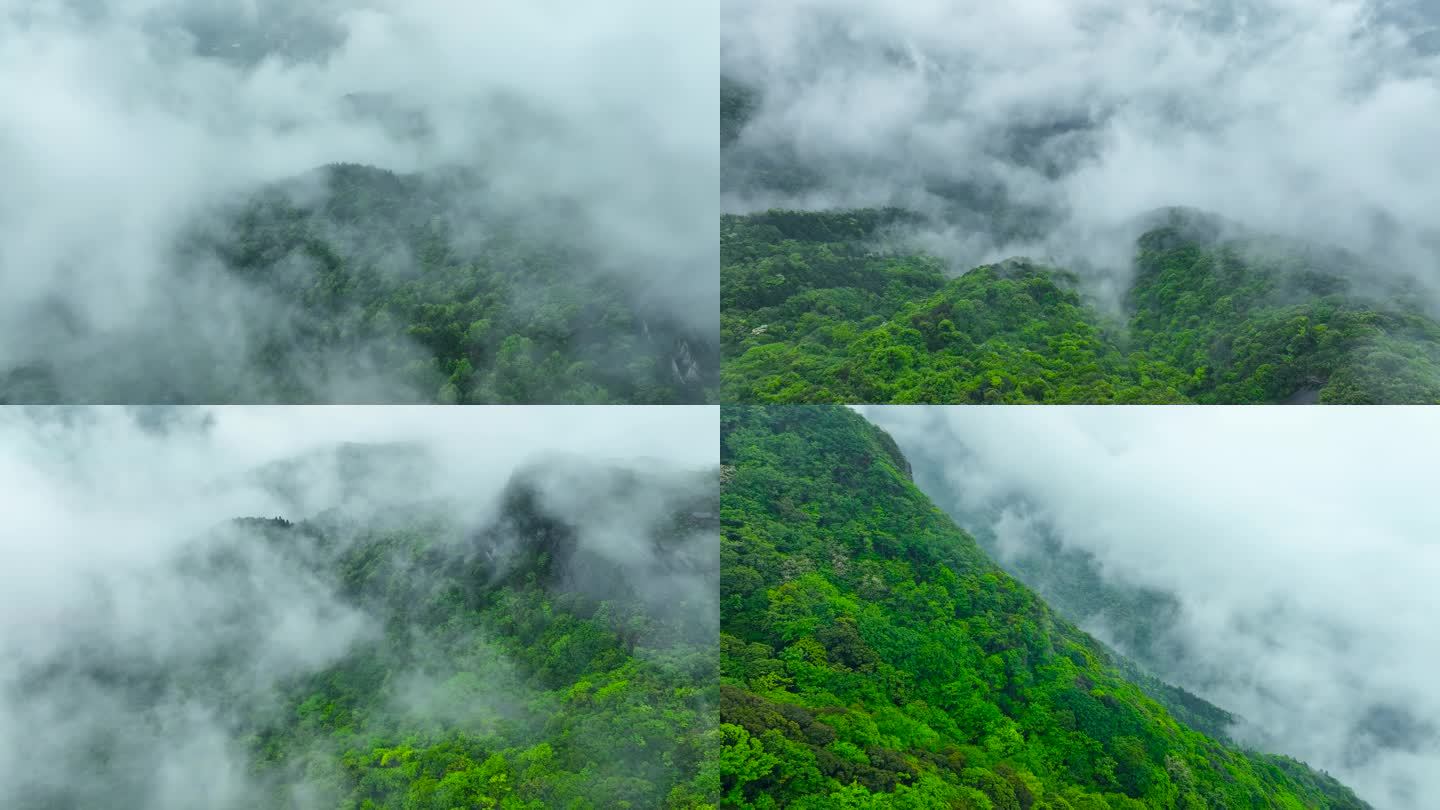 航拍大自然森林雨雾