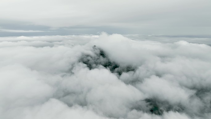 直飞航拍厚重云海下的羊岩山茶园
