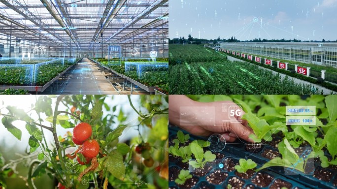 科技大棚 数字农业  智慧农业