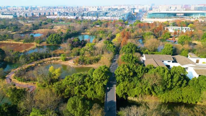 杭州西湖区西溪湿地风景视频素材4