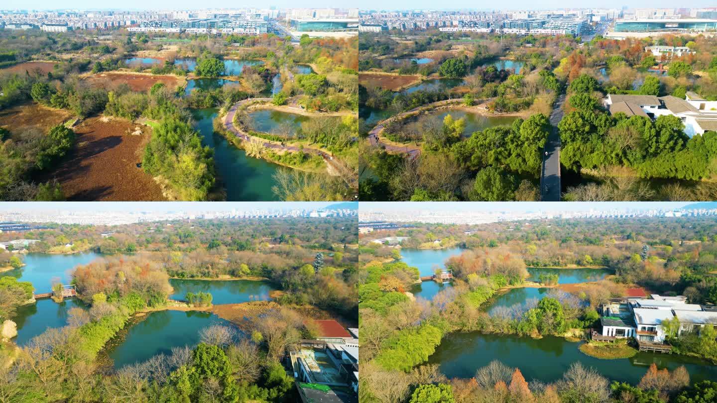 杭州西湖区西溪湿地风景视频素材4