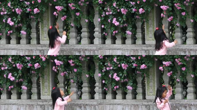 孩子赏花摸花高档社区别墅小区蔷薇花墙花海