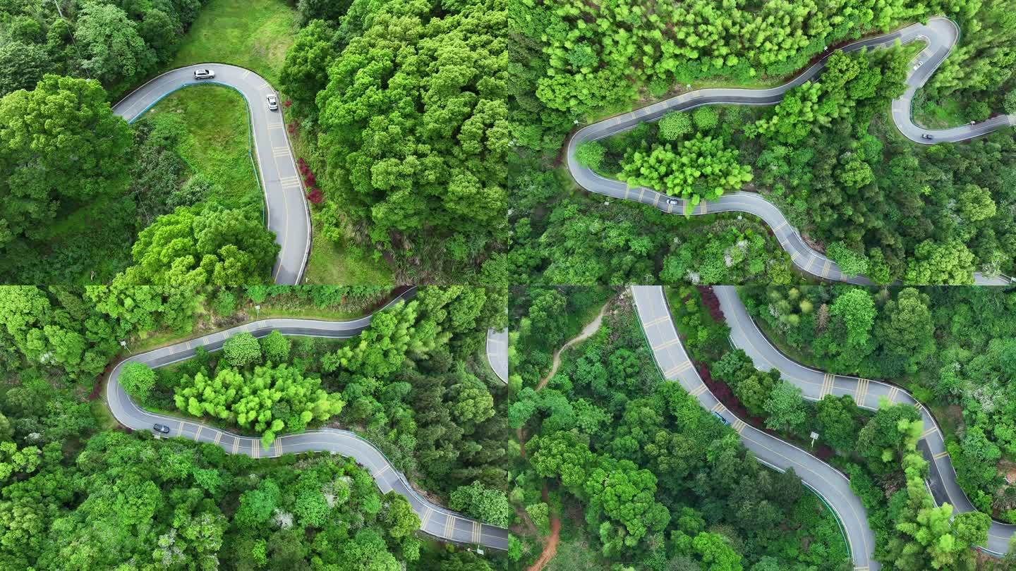 航拍汽车行驶在盘山公路 绿色森林