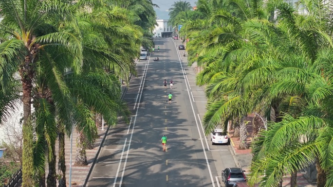 奔跑在瑞丽畹町的棕榈树大道上