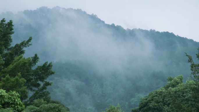 大山里云雾散开，云雾缭绕