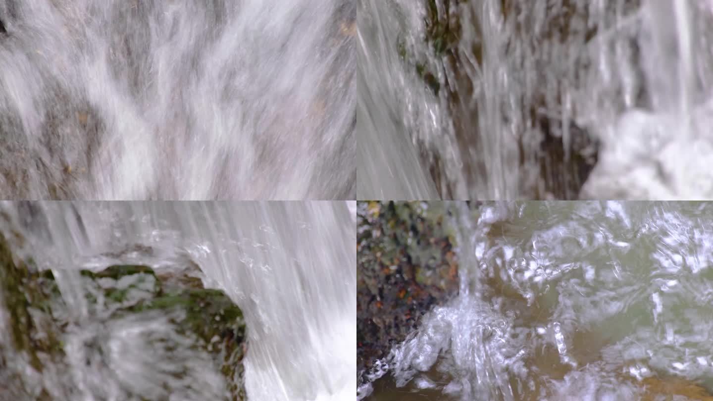 杭州植物园小溪流水风景视频素材990
