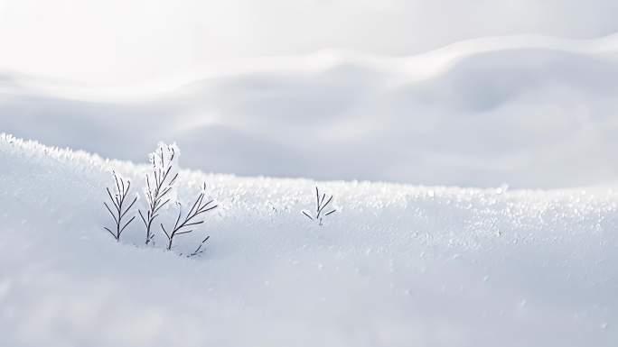 吉林雾凇冬天雪景雾凇寒冬寒冷冬季冰天雪地