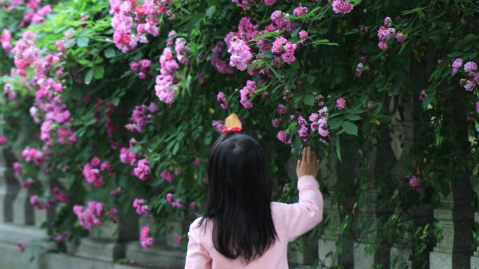 孩子赏花摸花高档社区别墅小区蔷薇花墙花海